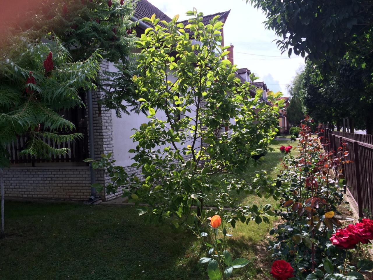 Guest house Koller Panzio Bonyhad